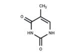 Thymine