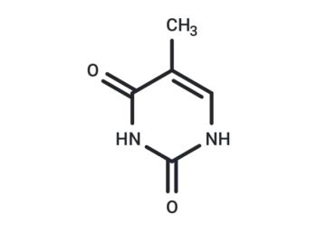 Thymine