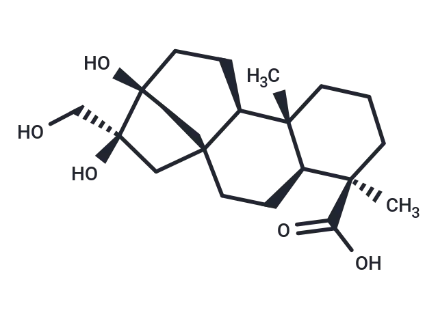 ent-13 ent-13,16β,17-Trihydroxykauran-19-oic acid
