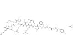 Porcine dynorphin A(1-13) acetate