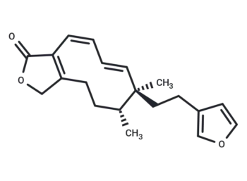 Dodonolide