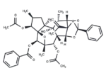Trigothysoid L 1 Trigothysoid L