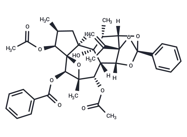 Trigothysoid L - Immunomart
