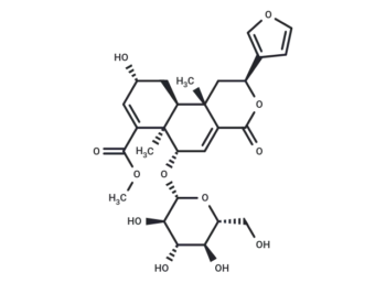 Dehydroborapetoside B