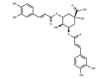 3,5-Dicaffeoyl-epi-quinic acid