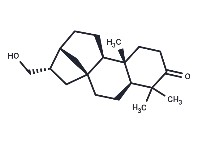 ent-17-Hydroxykauran-3-one ent-17-Hydroxykauran-3-one