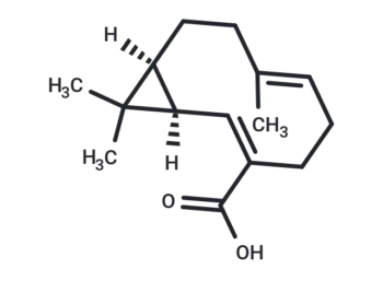 Volvalerenic acid A
