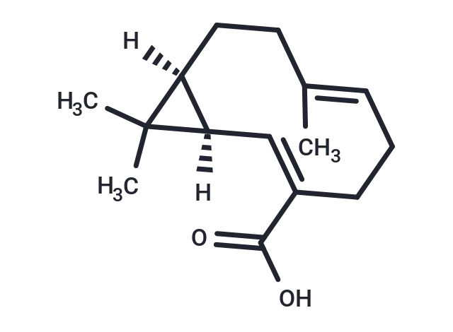 Volvalerenic acid A CgoaEGY7KoaEY mLAAAAAHRLyDg088- Immunomart