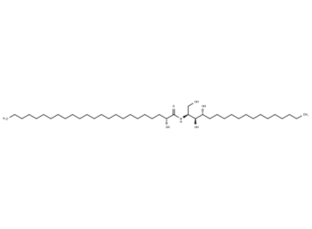 Elasticamide