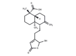 16-Hydroxy-8(17)