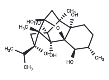 Cinnzeylanol