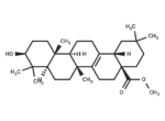 Pyrocincholic acid methyl ester