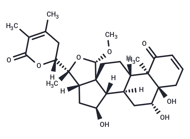 Withaphysalin S CgoaEGY7LSuEW3U AAAAADpeE4U179- Immunomart