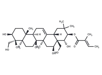 21-​O-​Tigloylgymnemagenin