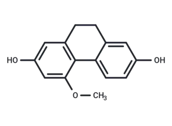 Coelonin