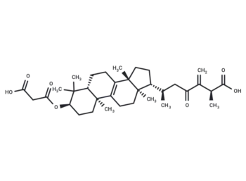 24(31)-Dehydrocarboxyacetylquercinic acid