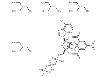 TNP-ATP triethylammonium salt