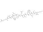 vitamin D binding protein precursor (353-363) [Homo sapiens]