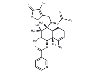 Scutebata C