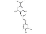 4-O-Caffeoylshikimic acid 1 4-O-Caffeoylshikimic acid