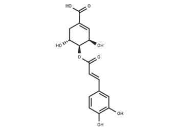 4-O-Caffeoylshikimic acid