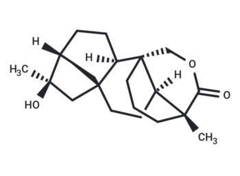 Tripterifordin