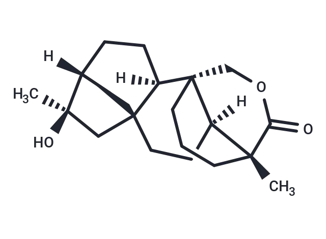 Tripterifordin CgoaEGY7MIOEf1OqAAAAAHigUU0565- Immunomart