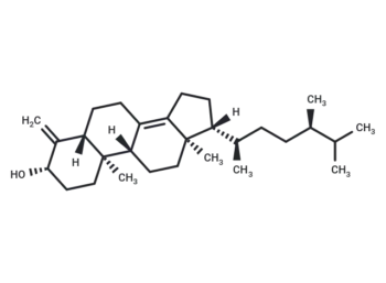 Conicasterol