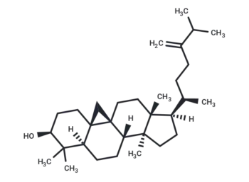 24-Methylenecycloartan-3-ol