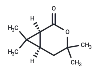 (1S)-Chrysanthemolactone