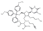 2'-O-MOE-5MeU-3'-phosphoramidite 1 2′-O-MOE-5MeU-3′-phosphoramidite