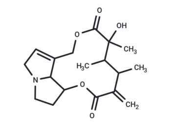 Senecivernine