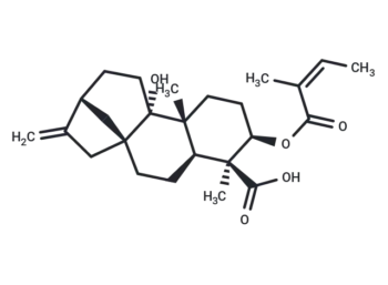 3alpha-Angeloyloxypterokaurene L3