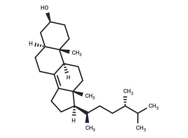 Ergostenol CgoaEGY7MqGEJH3DAAAAAOQc220649- Immunomart