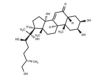 25S-Inokosterone