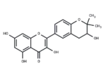 Glycyrrhiza flavonol A