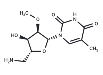 5'-Amino-5'-deoxy-2'-O-methyl-5-methyluridine