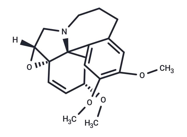 Wilsonine CgoaEGY7NfuEadGTAAAAANe1grE773- Immunomart