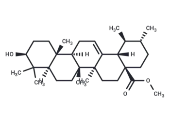 URSOLIC ACID METHYL ESTER