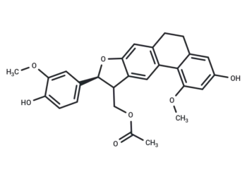Shanciol H