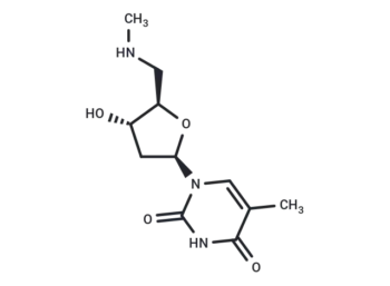 5'-Deoxy-5'-N-methylaminothymidine