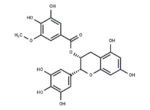 (-)-Epigallocatechin-3-(3”-O-methyl) gallate