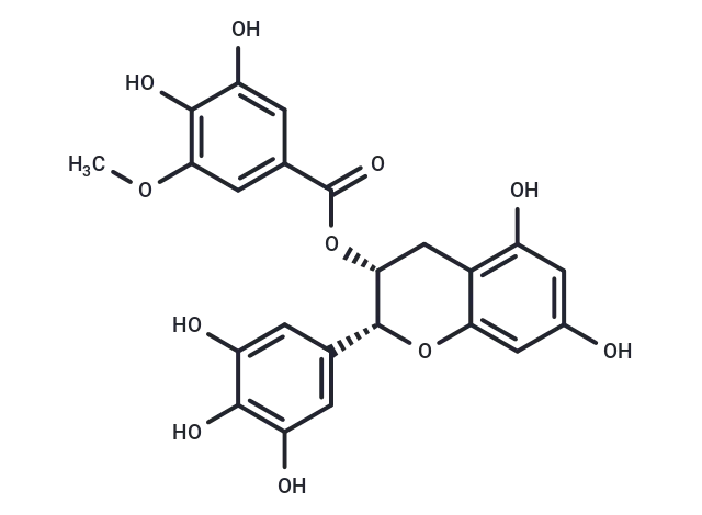 (-)-Epigallocatechin-3-(3''-O-methyl) gallate
