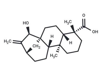 Deacetylxylopic acid