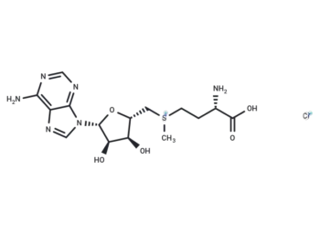 S-(5'-Adenosyl)-L-methionine chloride