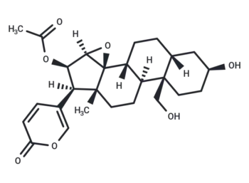 Cinobufaginol