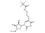 5-[3-[(Trifluoroacetyl)amino]propyl]uridine