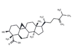 1-Dehydroxy-23-deoxojessic acid 1 1-Dehydroxy-23-deoxojessic acid