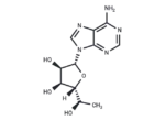 5′(R)-C-Methyladenosine