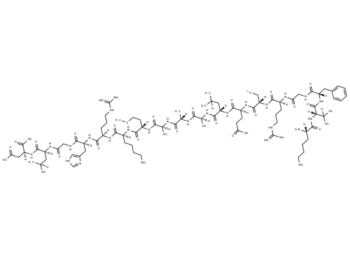 egg white lysozyme (19-36) [Gallus gallus]